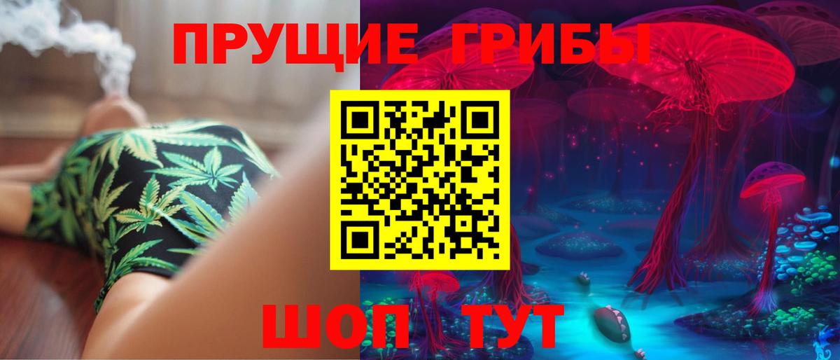 Псилоцибиновые грибы Psilocybine cubensis Ливны